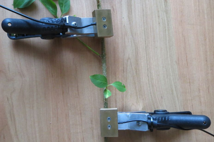 德赢·(VWIN)官方网站-AC米兰官方相助同伴