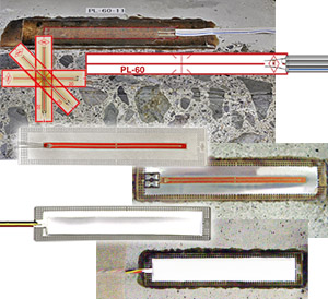 德赢·(VWIN)官方网站-AC米兰官方相助同伴