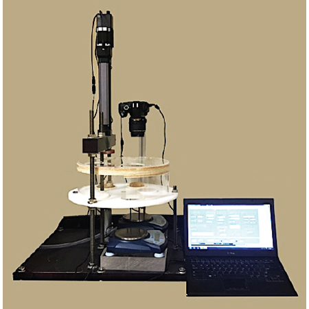 德赢·(VWIN)官方网站-AC米兰官方相助同伴
