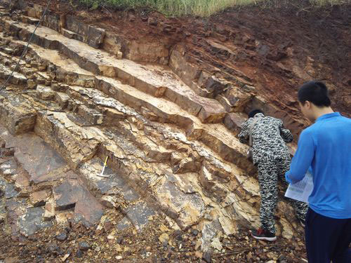 德赢·(VWIN)官方网站-AC米兰官方相助同伴