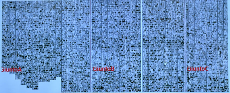 德赢·(VWIN)官方网站-AC米兰官方相助同伴