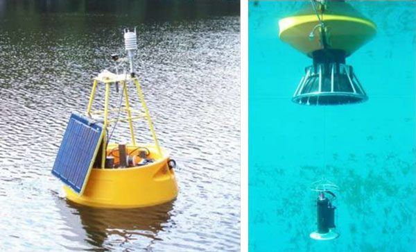 德赢·(VWIN)官方网站-AC米兰官方相助同伴