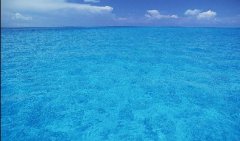 德赢·(VWIN)官方网站-AC米兰官方相助同伴