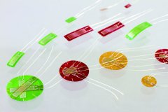 德赢·(VWIN)官方网站-AC米兰官方相助同伴